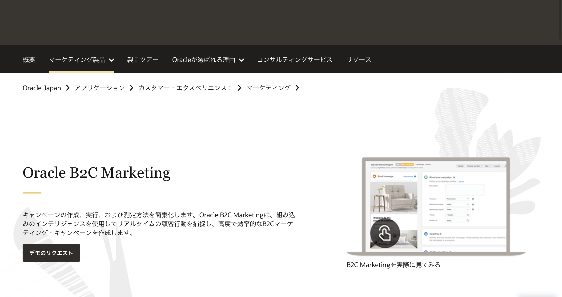 Oracle B2C Marketing - 特徴・機能・料金など